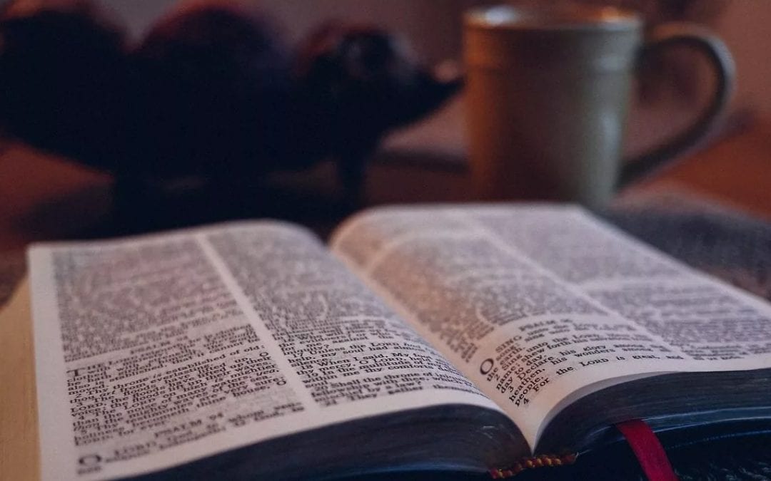 how to read the book of psalms