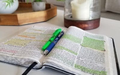 how to study the Bible (the complete series)