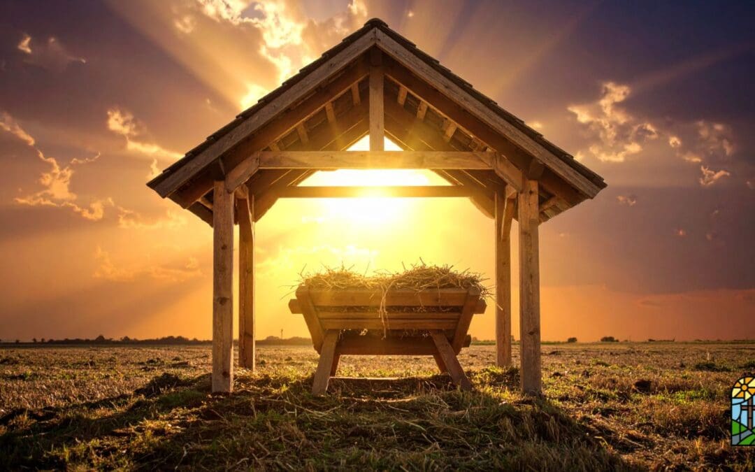 clothed in Light: a sermon for the first sunday of Christmas