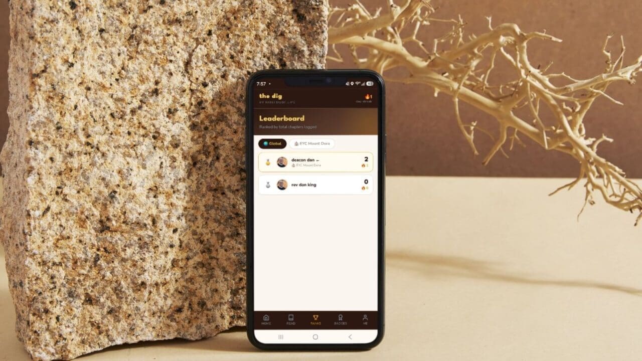 the dig app, leaderboard