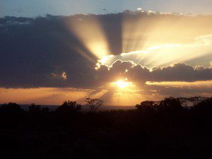 sunset-african-plains